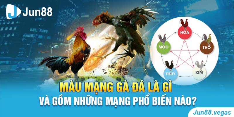 màu mạng gà đá