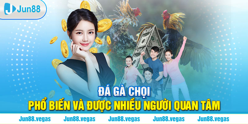 Đá gà chọi phổ biến và được nhiều người quan tâm